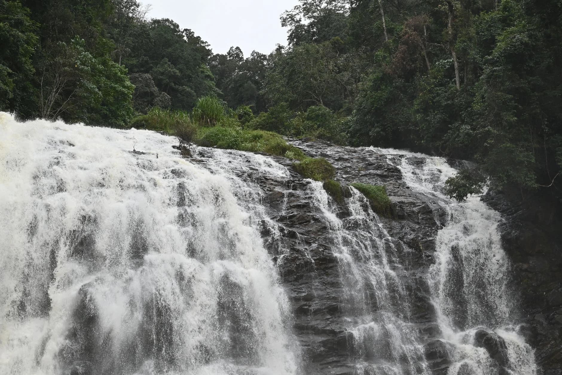 ಕೇರಳ ಮುಂಗಾರು ಅವಾಂತರ: 5 ಜಿಲ್ಲೆಗಳಿಗೆ ಕೆಂಪು ಎಚ್ಚರಿಕೆ, ಒಂದು ಜೀವ ಹಾನಿ